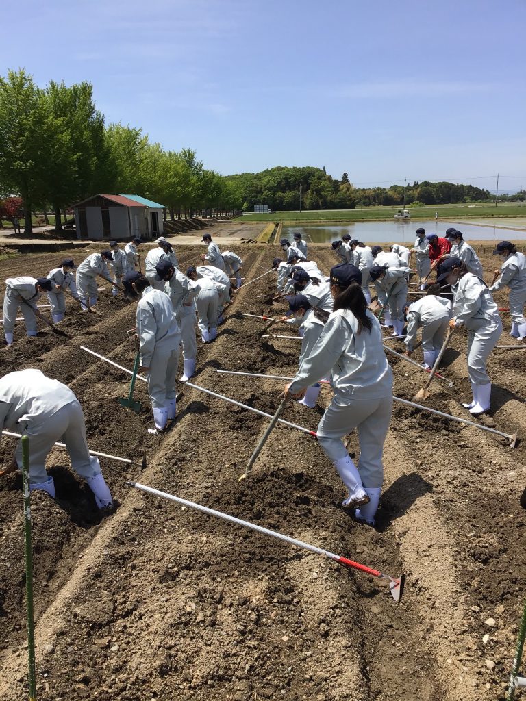 NEWS 滋賀県立長浜農業高等学校